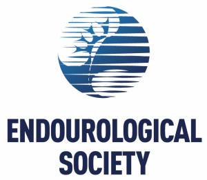 国际腔内泌尿外科学会