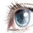 欧共体眼科大学教授协会