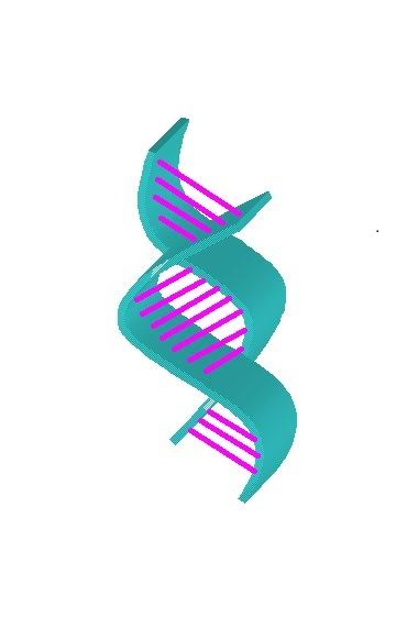 免疫学研究前沿网络