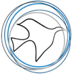 新世纪基金会