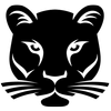 国际检验局协会