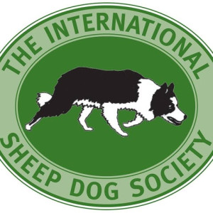 国际牧羊犬协会