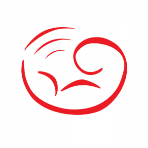 国际妇产科超声学会
