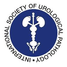国际泌尿病理学会