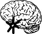 国际应激与行为学会
