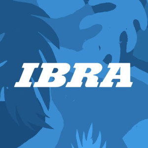 IBRA媒体
