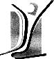 国际躯体治疗协会