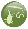 全球土壤生物多样性倡议