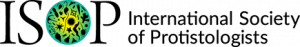国际原生生物学会