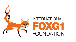 国际FOXG1基金会