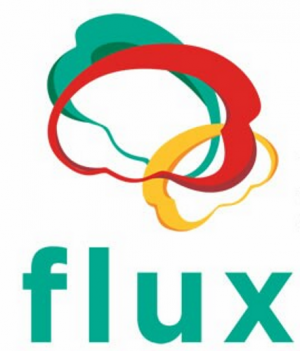Flux发展认知神经科学学会