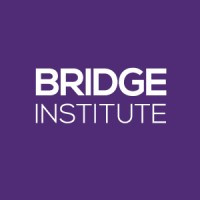桥接研究所（Bridge Institute）