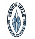 EsseGiElle