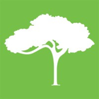 地球新闻网络