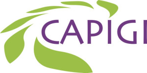 CAPIGI基金会