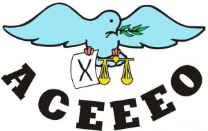 欧洲选举事务官员协会